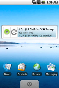 Home screen widget showing current server statistics